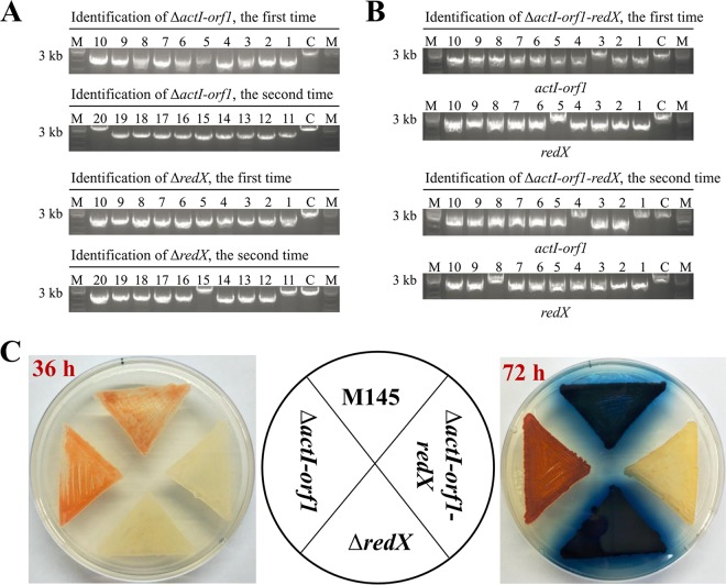 FIG 3