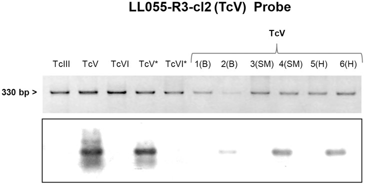 Fig 4