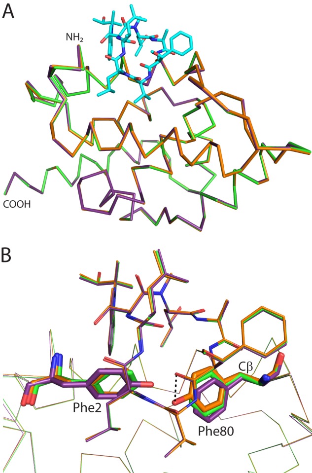 FIGURE 4.