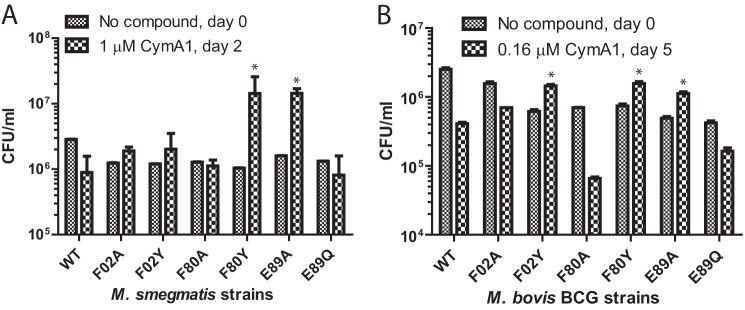 FIGURE 5.