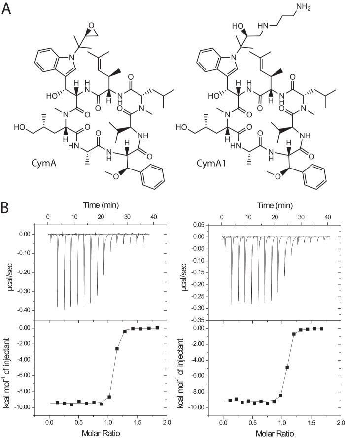 FIGURE 1.