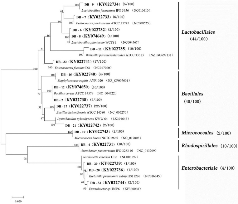 FIGURE 2