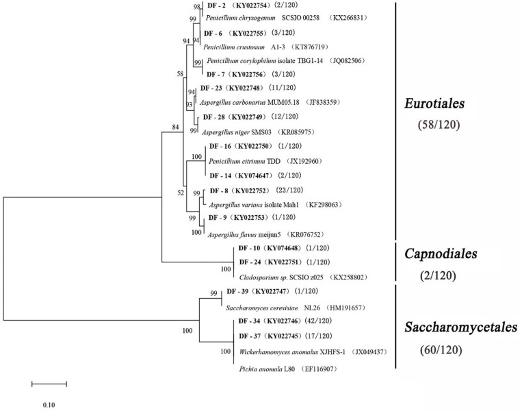 FIGURE 3