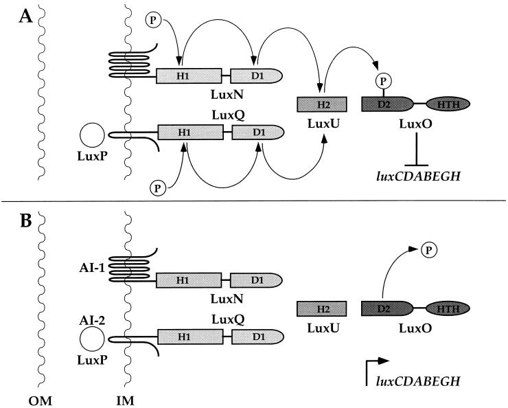 FIG. 5