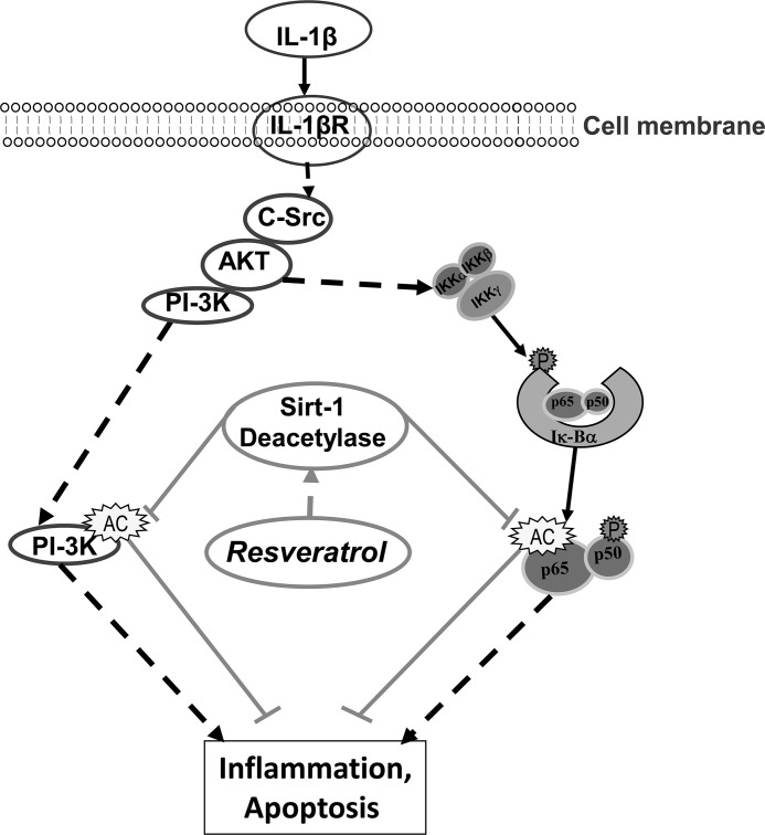 FIGURE 15.