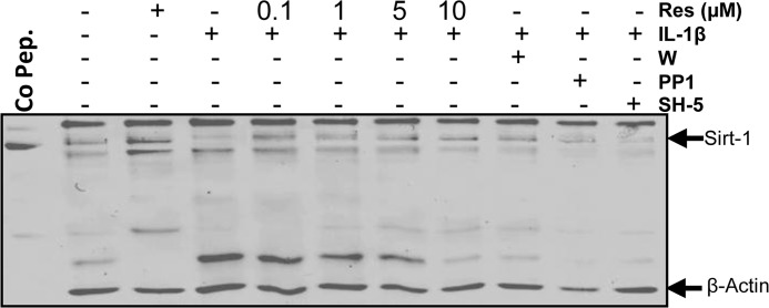 FIGURE 9.