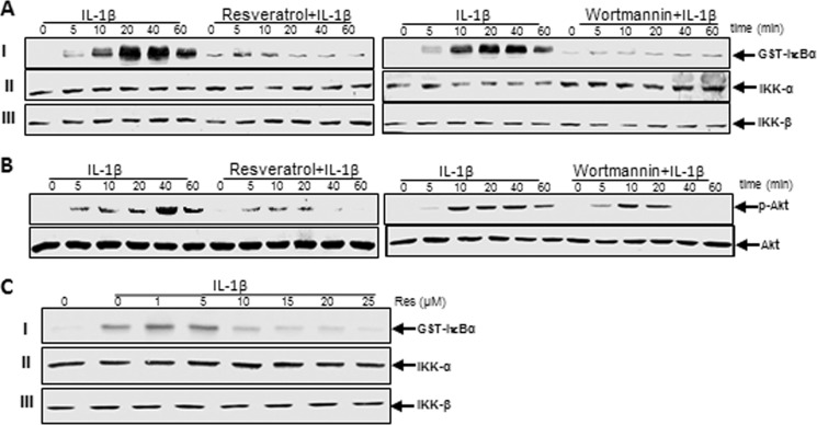 FIGURE 12.