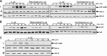 FIGURE 12.
