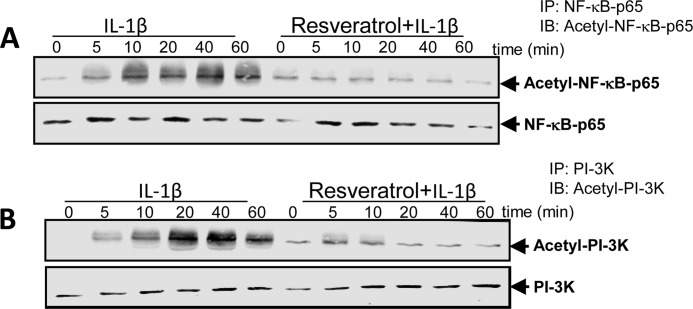 FIGURE 13.