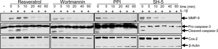 FIGURE 11.