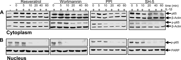 FIGURE 10.