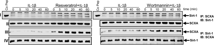 FIGURE 14.