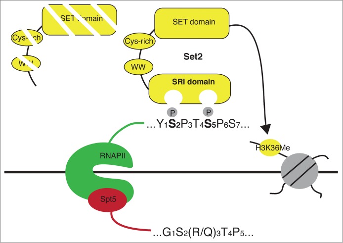 Figure 3.