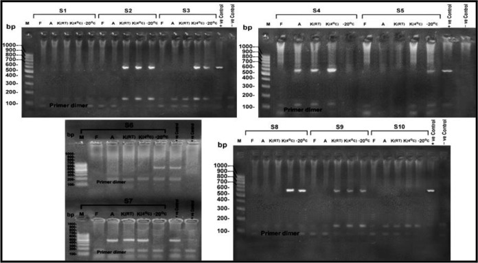 Fig. 3: