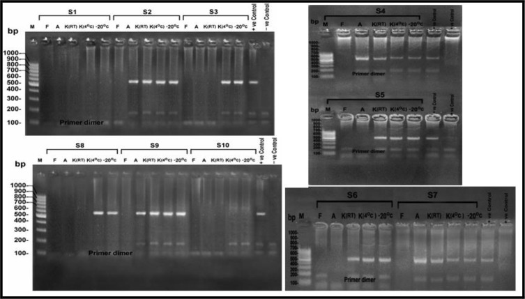 Fig. 2: