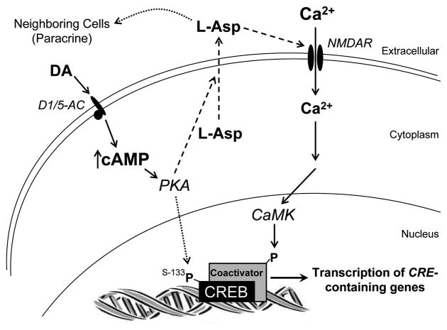 Fig. 10