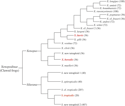 Fig. 10.