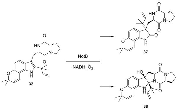 Scheme 4