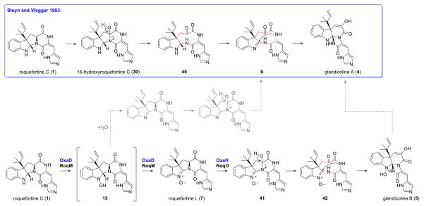 Scheme 5