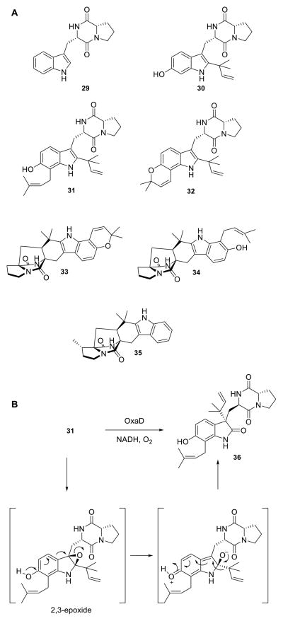 Scheme 3