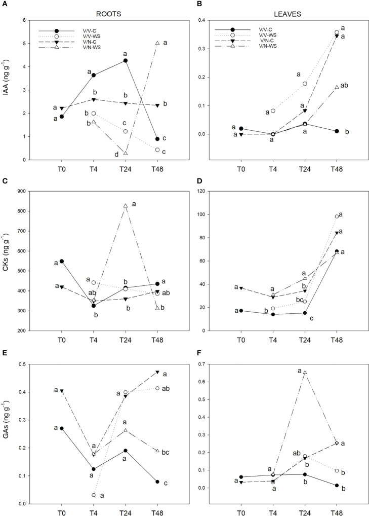 Figure 4