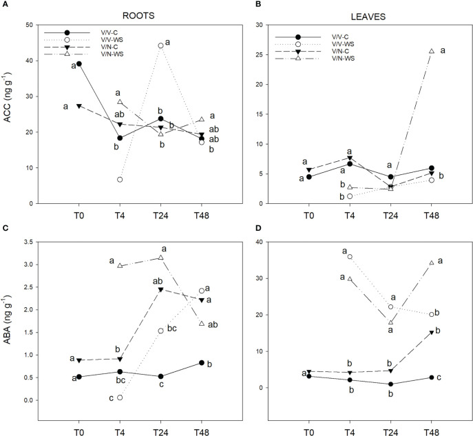 Figure 3