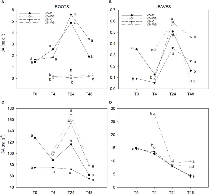 Figure 5