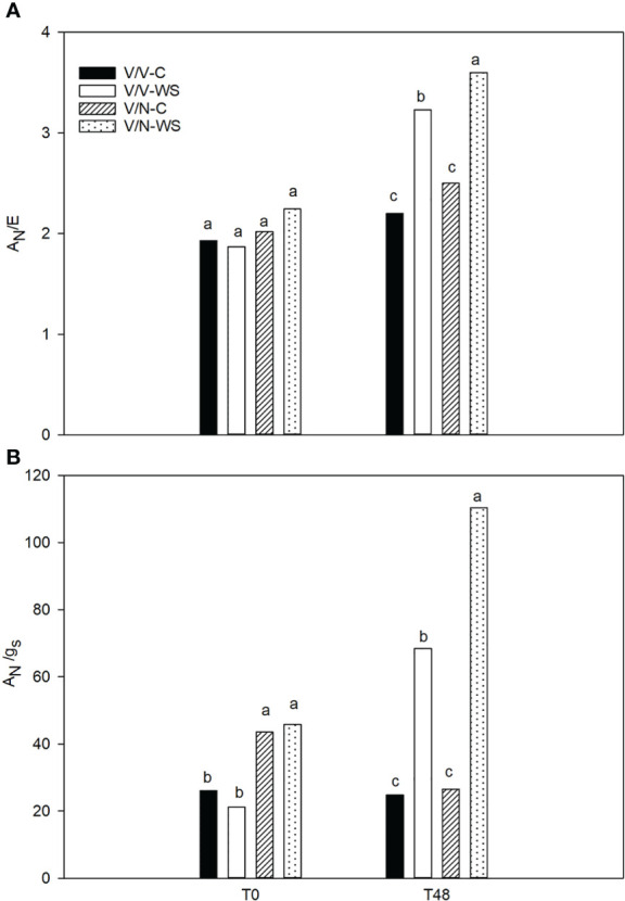 Figure 2