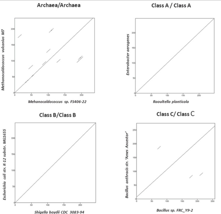 Figure 2a