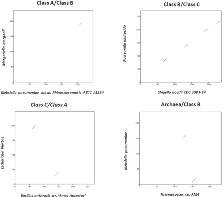 Figure 2b