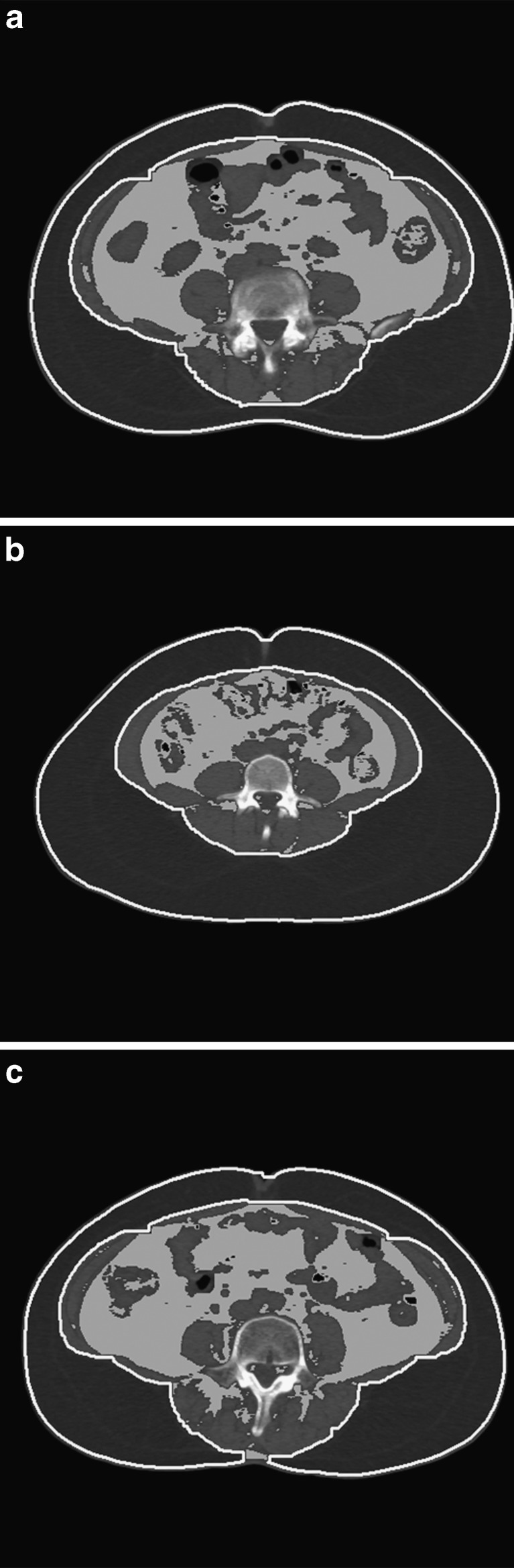 Fig. 5