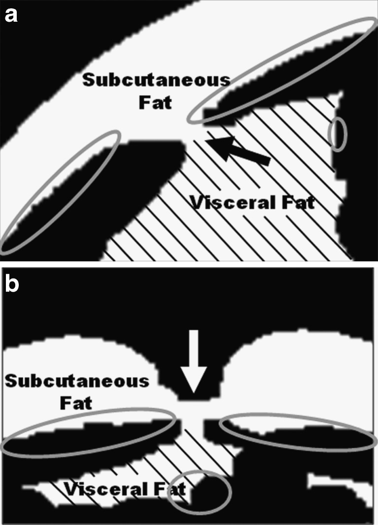 Fig. 3