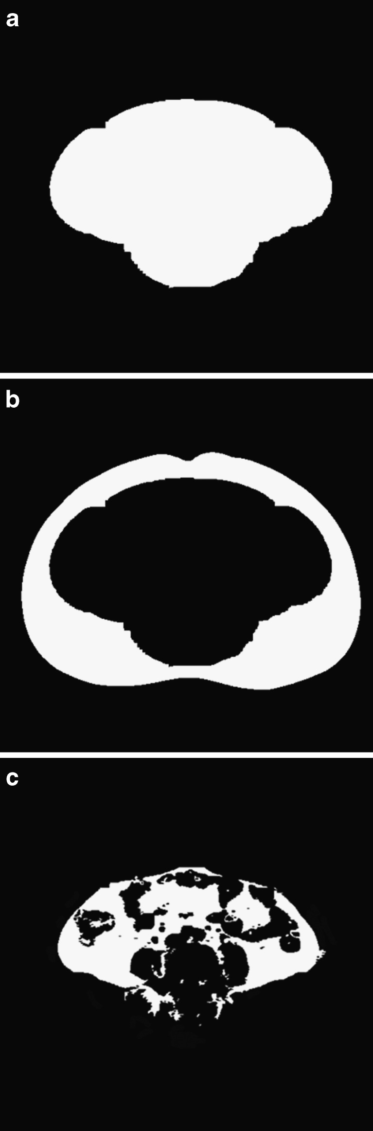 Fig. 4