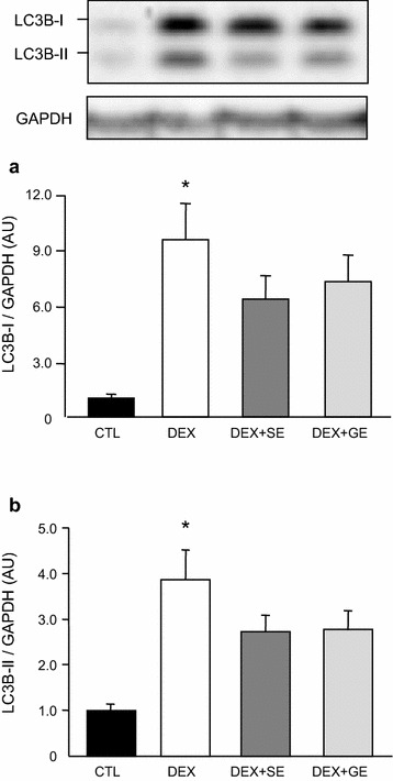 Fig. 4