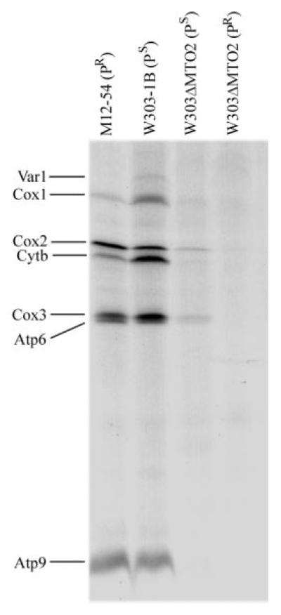 Fig. 4