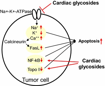 Fig. 4