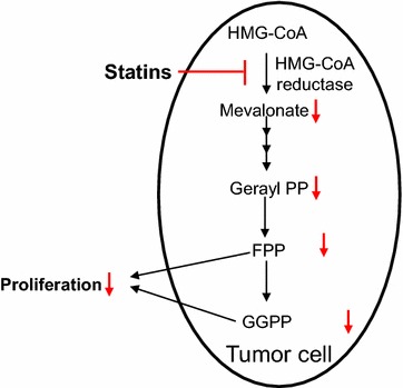 Fig. 5