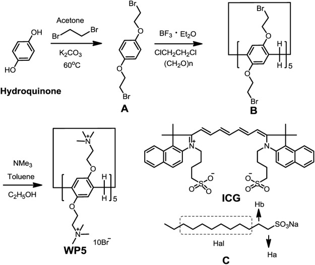 SCHEME 1