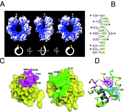 FIG. 2.