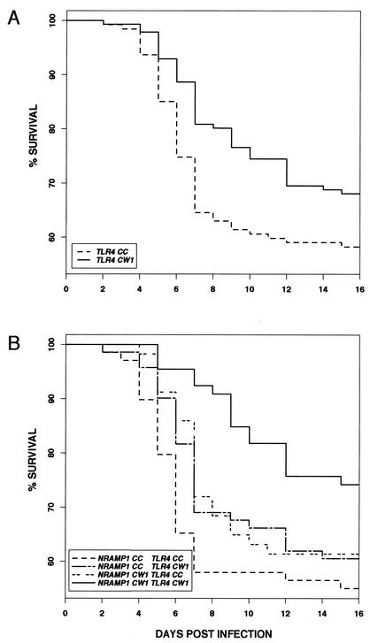 FIG. 5.