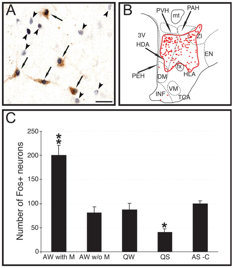 Fig. 8