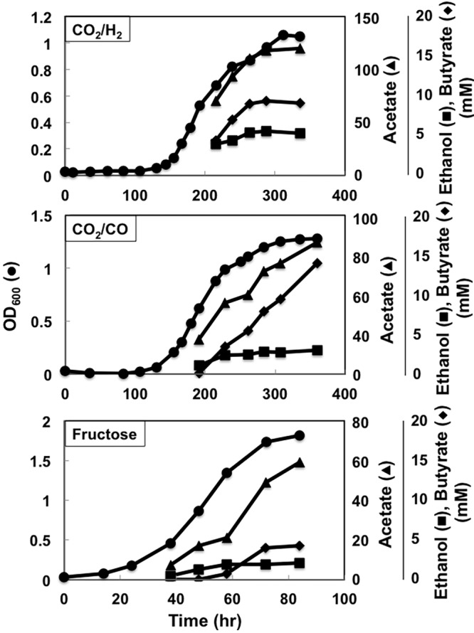 FIG 3 