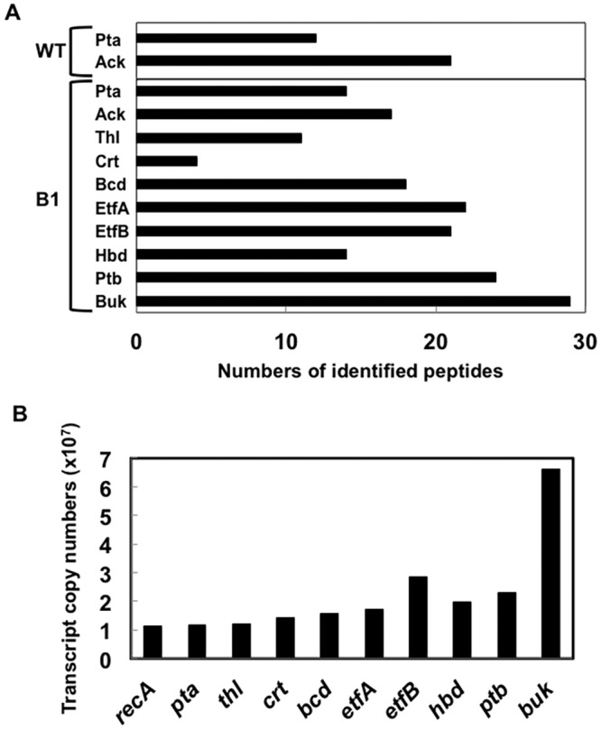 FIG 5 