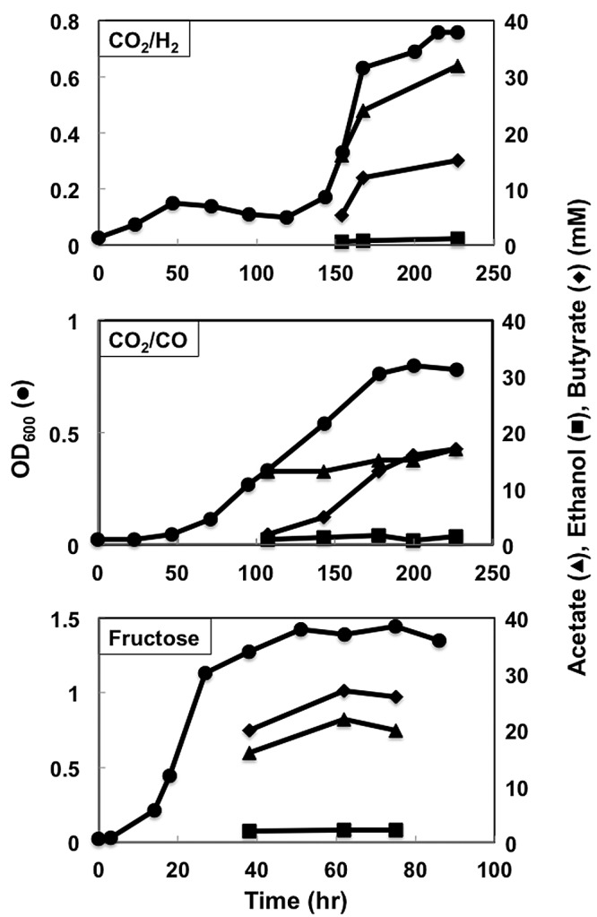 FIG 11 