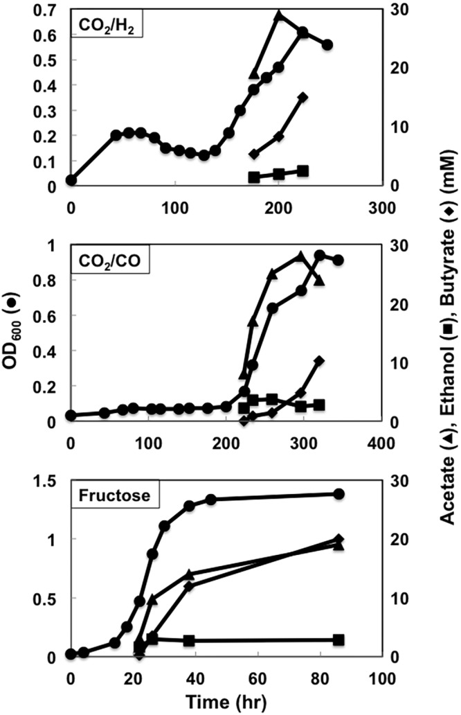 FIG 9 