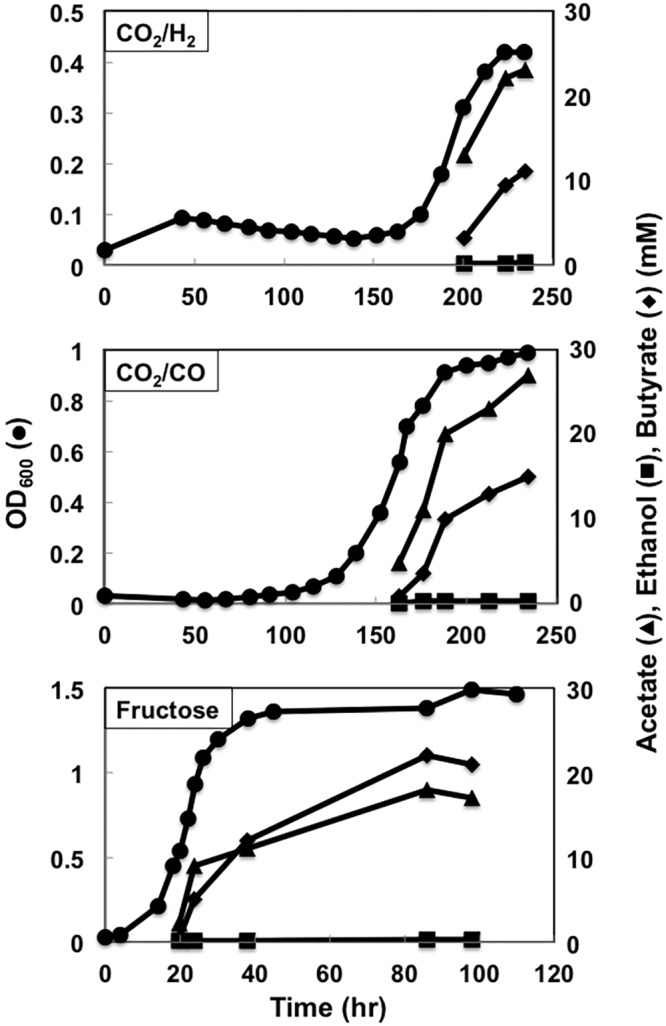 FIG 10 