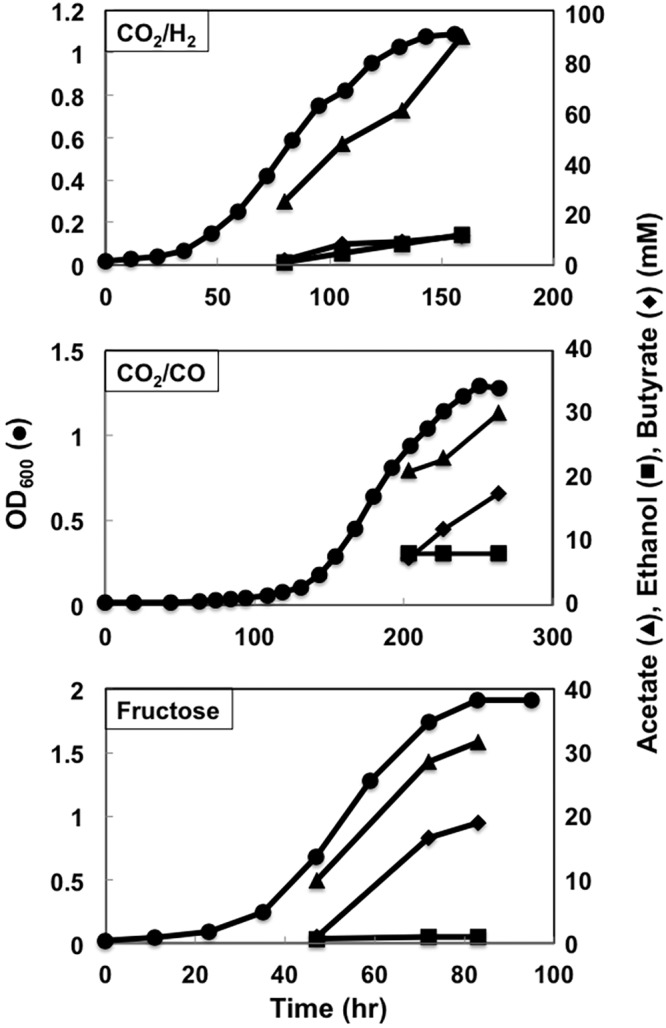 FIG 7 