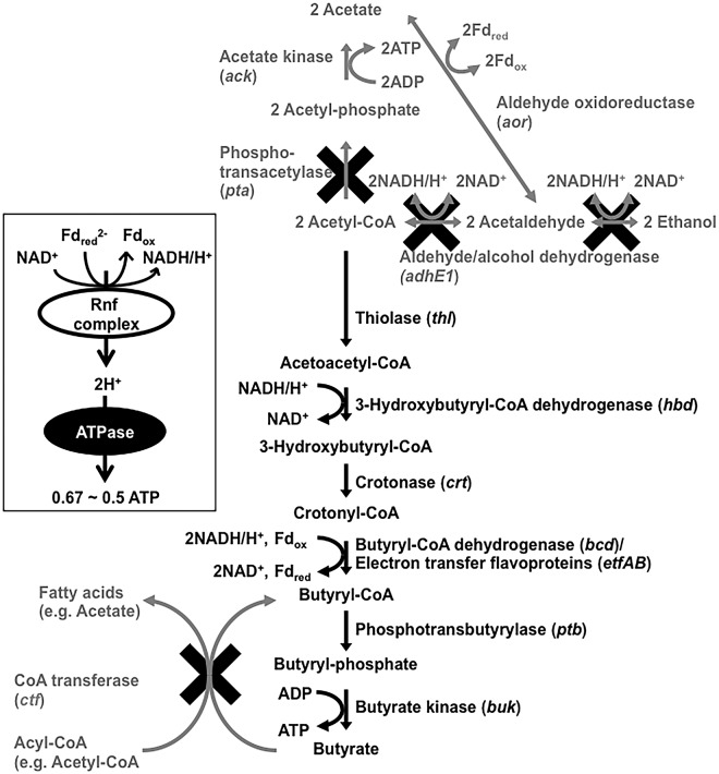 FIG 1 