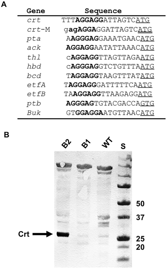 FIG 6 