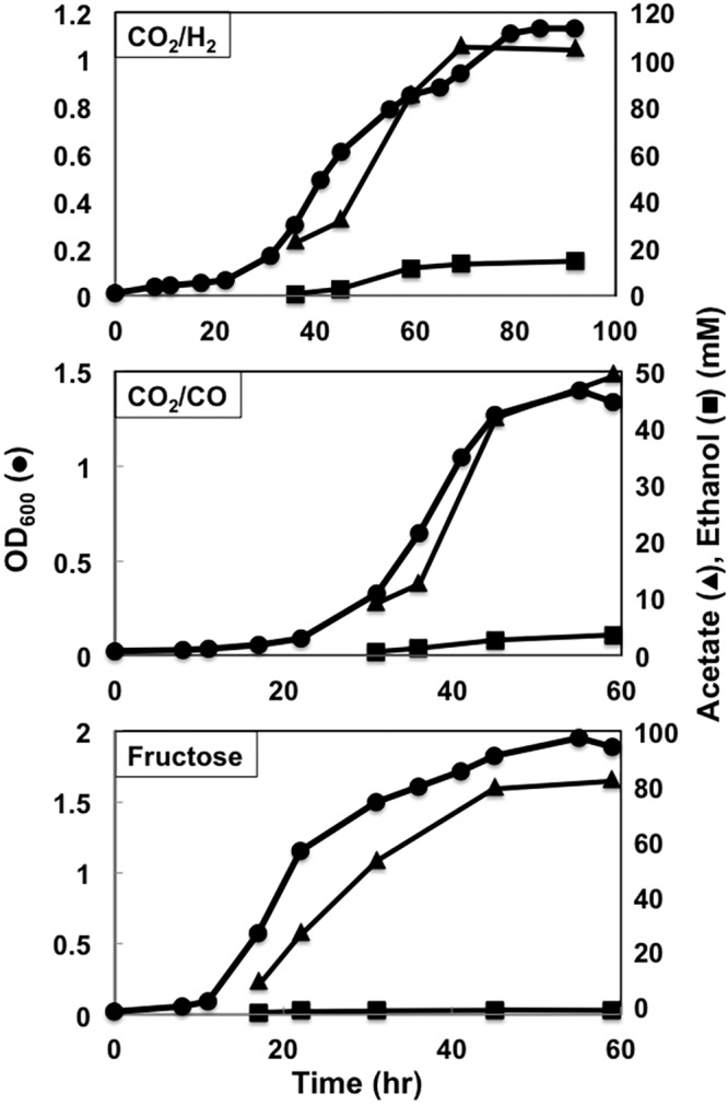 FIG 2 